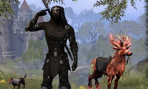 eso nightblade builds|eso nightblade farming build.